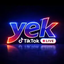 YEK Agency TikTok Ajansı: Ajansla Büyümenin Gerçek Rehberi